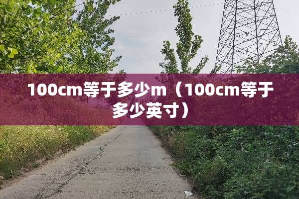 100cm等于多少m（100cm等于多少英寸）