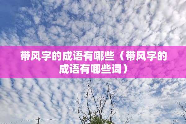 带风字的成语有哪些（带风字的成语有哪些词）