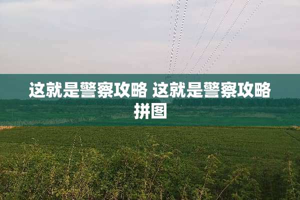 这就是**攻略 这就是**攻略拼图