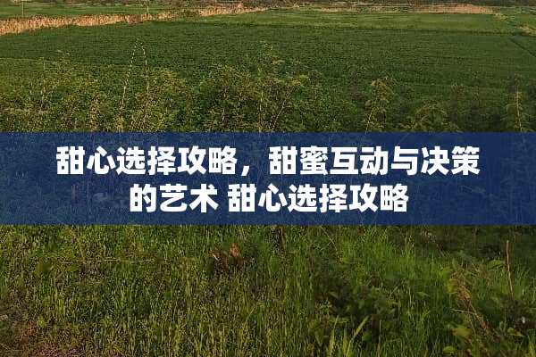 甜心选择攻略，甜蜜互动与决策的艺术 甜心选择攻略