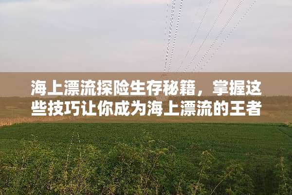 海上漂流探险生存秘籍，掌握这些技巧让你成为海上漂流的王者！ 海上漂流游戏攻略