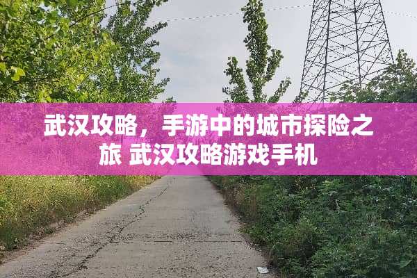 武汉攻略，手游中的城市探险之旅 武汉攻略游戏手机