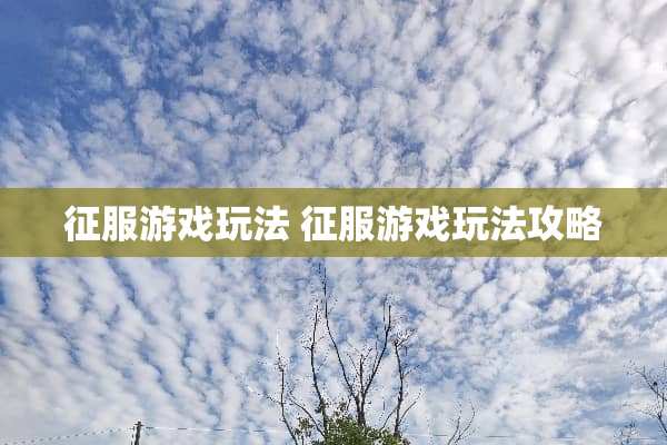 征服游戏玩法 征服游戏玩法攻略