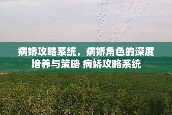 病娇攻略系统，病娇角色的深度培养与策略 病娇攻略系统