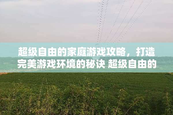 超级自由的家庭游戏攻略，打造完美游戏环境的秘诀 超级自由的家庭游戏攻略