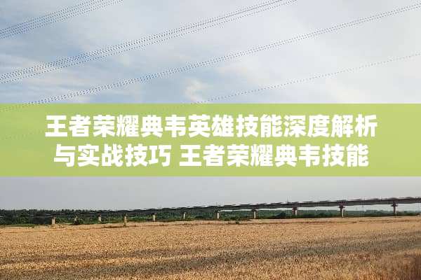 王者荣耀典韦英雄技能深度解析与实战技巧 王者荣耀典韦技能