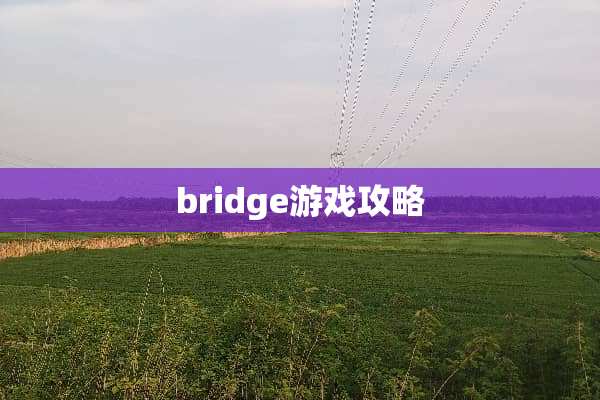 bridge游戏攻略
