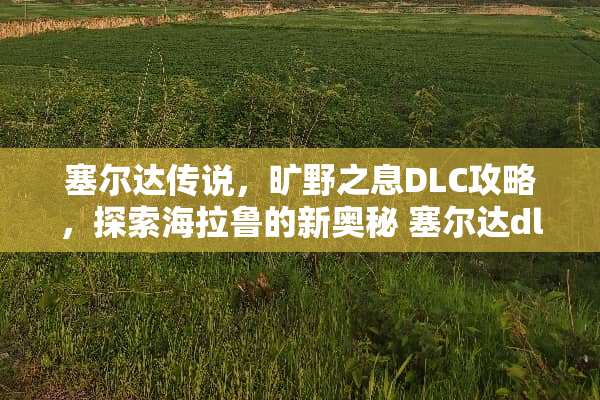 塞尔达传说，旷野之息DLC攻略，探索海拉鲁的新奥秘 塞尔达dlc攻略