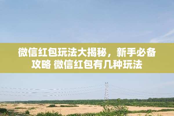 微信红包玩法大揭秘，新手必备攻略 微信红包有几种玩法