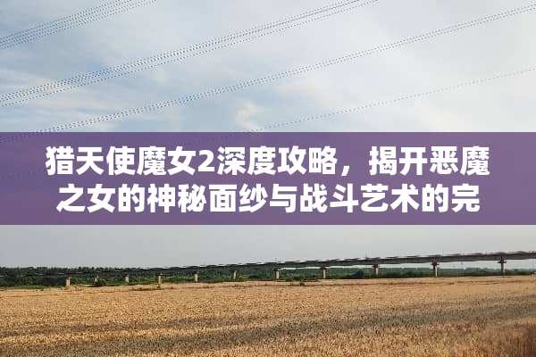 猎天使魔女2深度攻略，揭开恶魔之女的神秘面纱与战斗艺术的完美结合 猎天使魔女2攻略