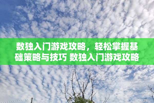 数独入门游戏攻略，轻松掌握基础策略与技巧 数独入门游戏攻略
