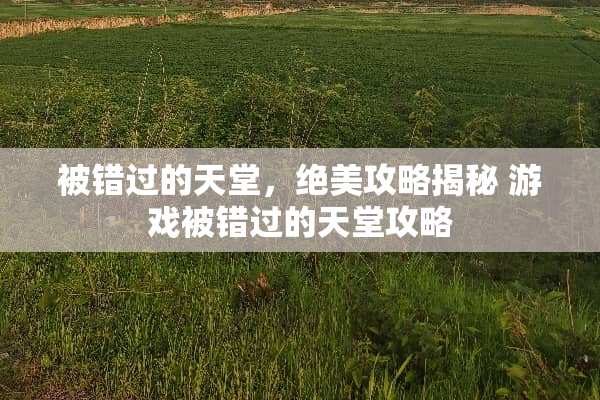被错过的天堂，绝美攻略揭秘 游戏被错过的天堂攻略