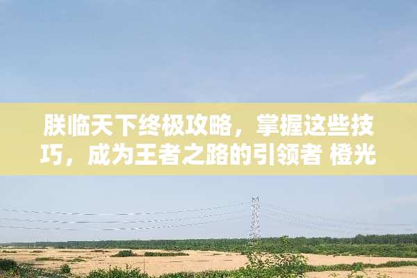 朕临天下终极攻略，掌握这些技巧，成为王者之路的引领者 橙光游戏朕临天下攻略