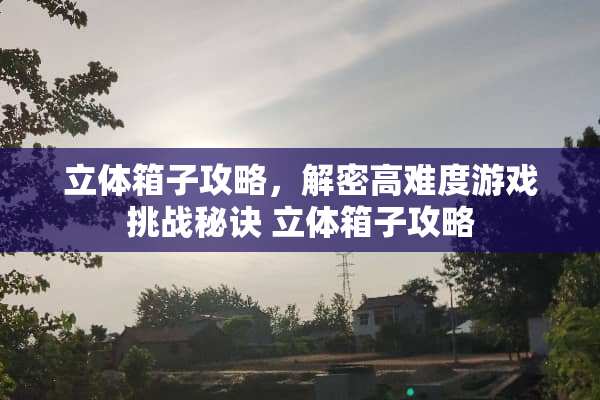 立体箱子攻略，解密高难度游戏挑战秘诀 立体箱子攻略