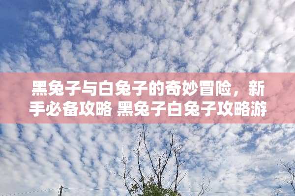 黑兔子与白兔子的奇妙冒险，新手必备攻略 黑兔子白兔子攻略游戏