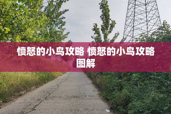 愤怒的小鸟攻略 愤怒的小鸟攻略图解