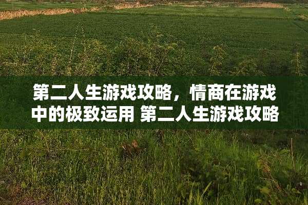 第二人生游戏攻略，情商在游戏中的极致运用 第二人生游戏攻略情商