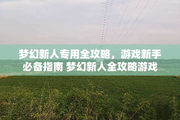 梦幻新人专用全攻略，游戏新手必备指南 梦幻新人全攻略游戏