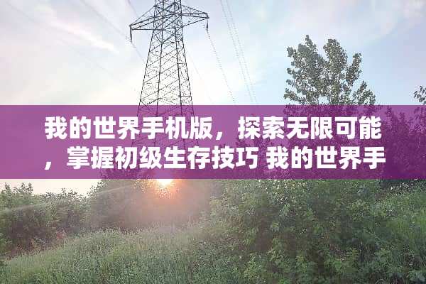 我的世界手机版，探索无限可能，掌握初级生存技巧 我的世界手机版玩法