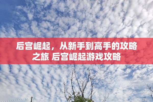 后宫崛起，从新手到高手的攻略之旅 后宫崛起游戏攻略
