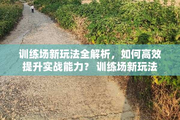训练场新玩法全解析，如何高效提升实战能力？ 训练场新玩法