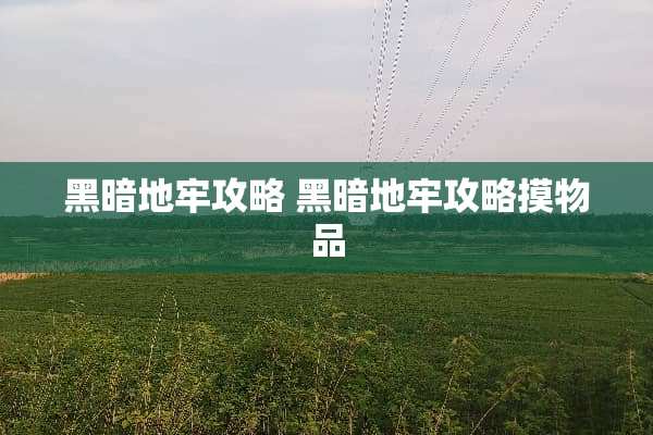 黑暗地牢攻略 黑暗地牢攻略摸物品