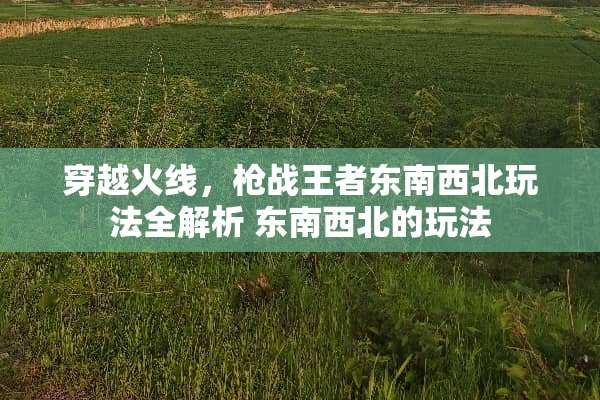 穿越火线，*战王者东南西北玩法全解析 东南西北的玩法