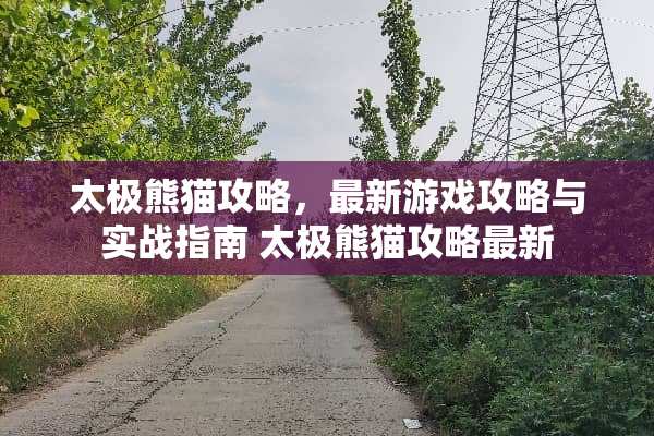 太极熊猫攻略，最新游戏攻略与实战指南 太极熊猫攻略最新