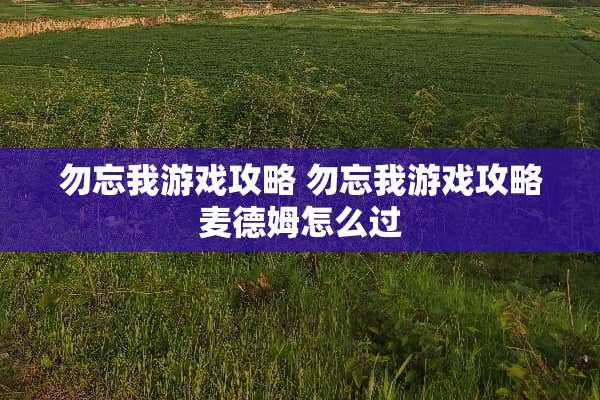 勿忘我游戏攻略 勿忘我游戏攻略麦德姆怎么过