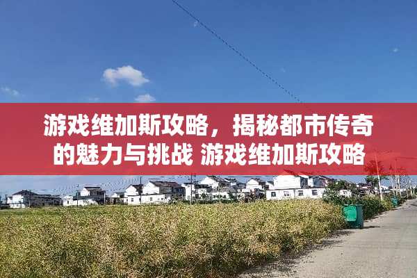 游戏维加斯攻略，揭秘都市传奇的魅力与挑战 游戏维加斯攻略