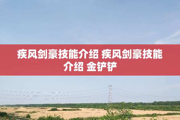 疾风剑豪技能介绍 疾风剑豪技能介绍 金铲铲