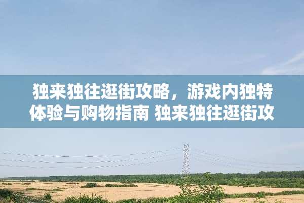 独来独往逛街攻略，游戏内独特体验与购物指南 独来独往逛街攻略游戏