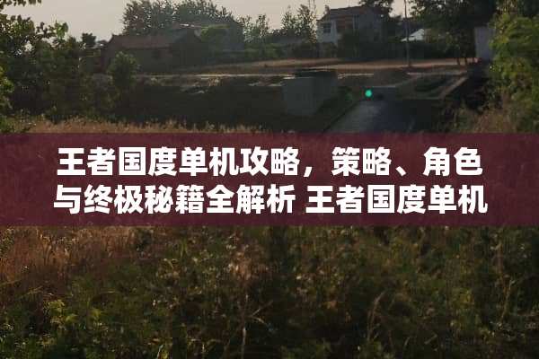 王者国度单机攻略，策略、角色与终极秘籍全解析 王者国度单机攻略游戏