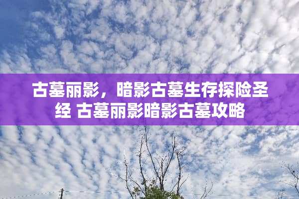 古墓丽影，暗影古墓生存探险圣经 古墓丽影暗影古墓攻略