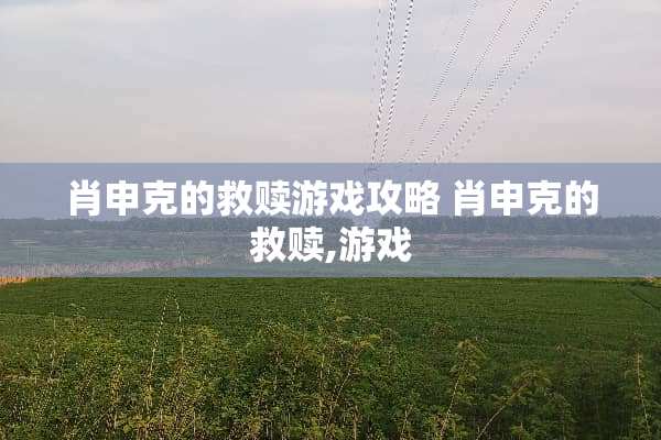肖申克的救赎游戏攻略 肖申克的救赎,游戏
