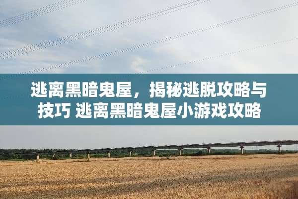 逃离黑暗鬼屋，揭秘逃脱攻略与技巧 逃离黑暗鬼屋小游戏攻略