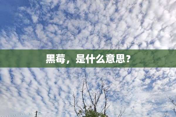 黑莓，是什么意思？