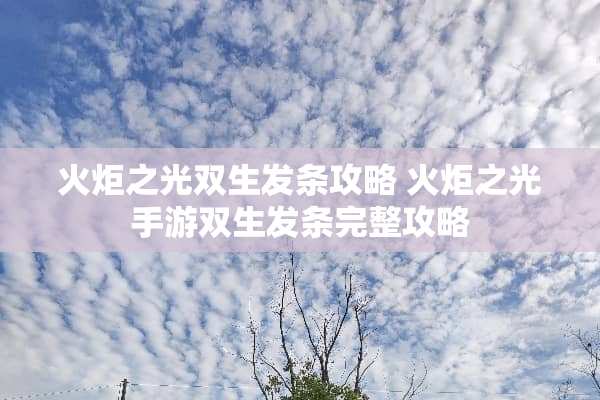 火炬之光双生发条攻略 火炬之光手游双生发条完整攻略