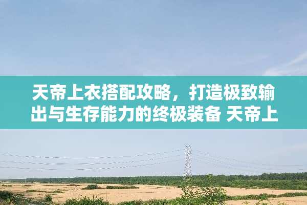 天帝上衣搭配攻略，打造极致输出与生存能力的终极装备 天帝上衣选什么技能