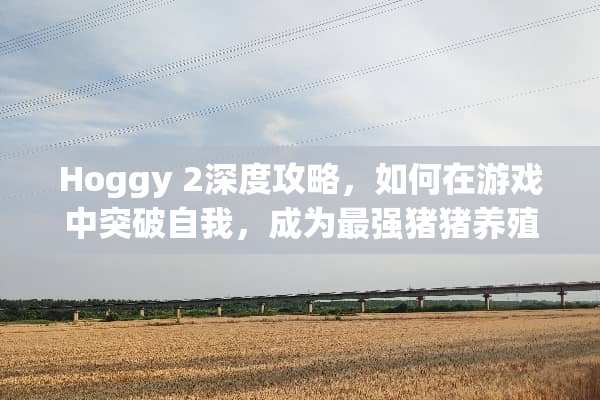 Hoggy 2深度攻略，如何在游戏中突破自我，成为最强猪猪养殖者？ hoggy2攻略