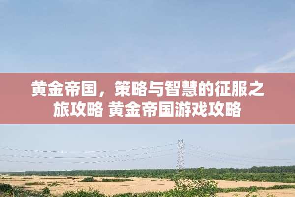 黄金帝国，策略与智慧的征服之旅攻略 黄金帝国游戏攻略