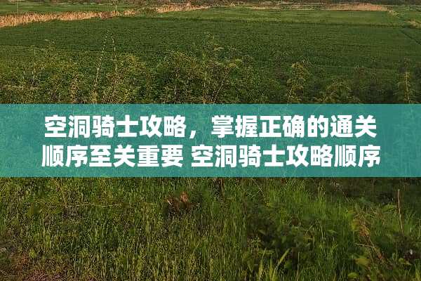 空洞骑士攻略，掌握正确的通关顺序至关重要 空洞骑士攻略顺序