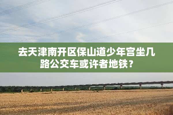 去天津南开区保山道少年宫坐几路公交车或许者地铁？