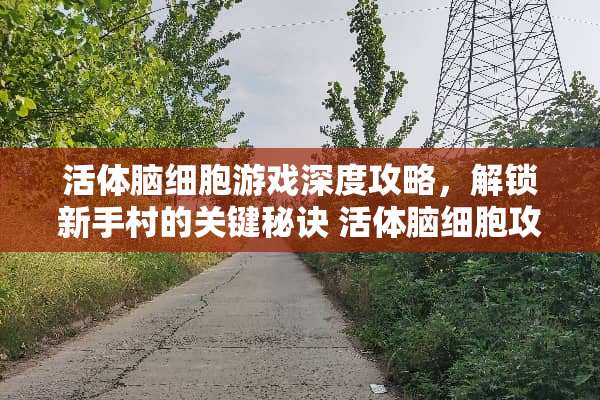 **脑细胞游戏深度攻略，解锁新手村的关键秘诀 **脑细胞攻略