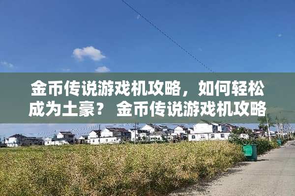 金币传说游戏机攻略，如何轻松成为土豪？ 金币传说游戏机攻略