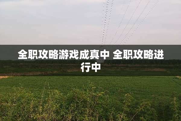 **攻略游戏成真中 **攻略进行中