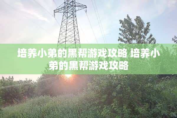 培养小弟的黑帮游戏攻略 培养小弟的黑帮游戏攻略