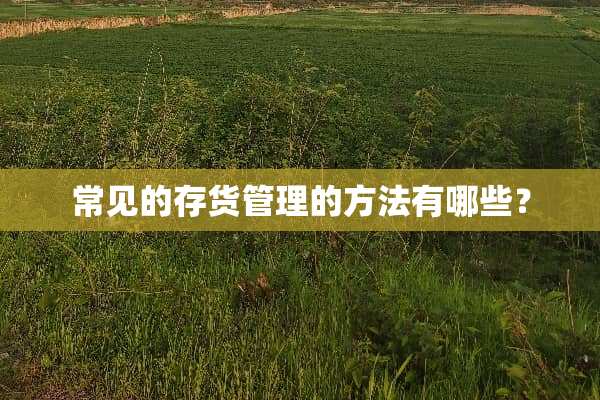 常见的存货管理的方法有哪些？