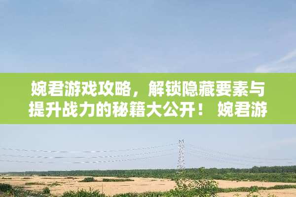 婉君游戏攻略，解锁隐藏要素与提升战力的秘籍大公开！ 婉君游戏攻略下载
