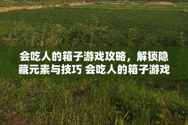 会吃人的箱子游戏攻略，解锁隐藏元素与技巧 会吃人的箱子游戏攻略